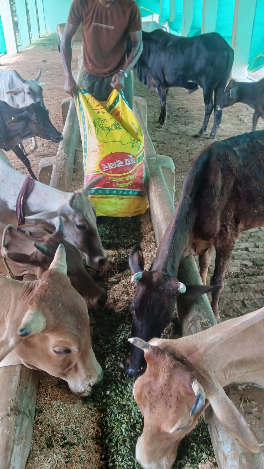 Fodder delivered by our vehicle
